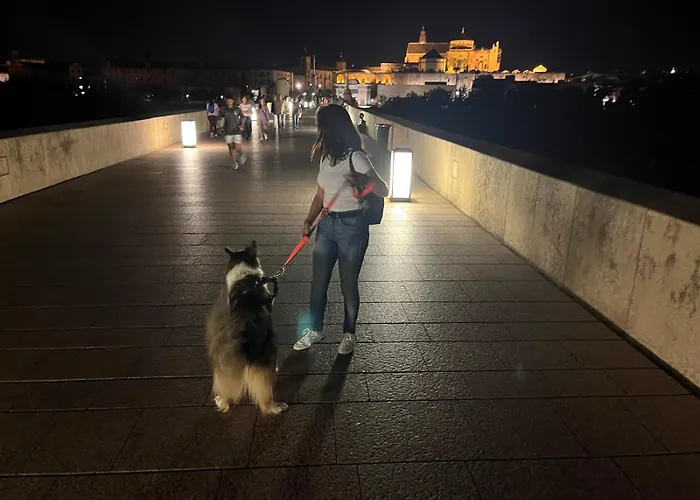 דירה Irache Dreams